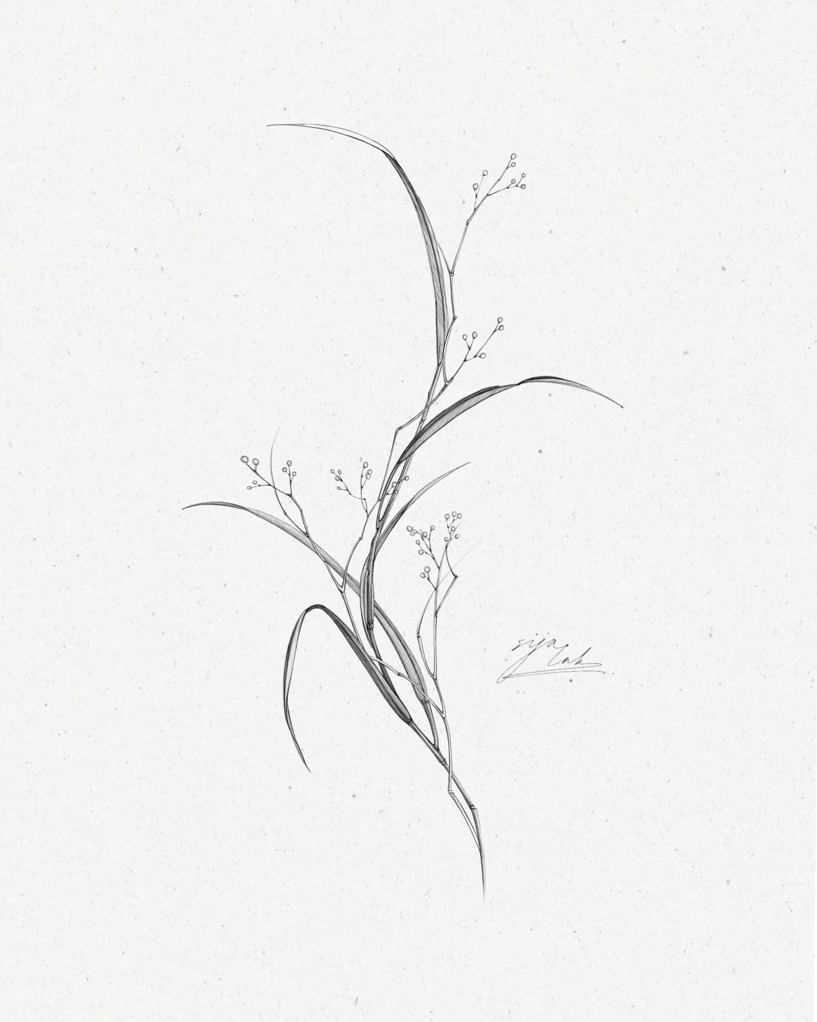 Available tattoo design – Wildflowers · №01 – SIJA.INK Zürich