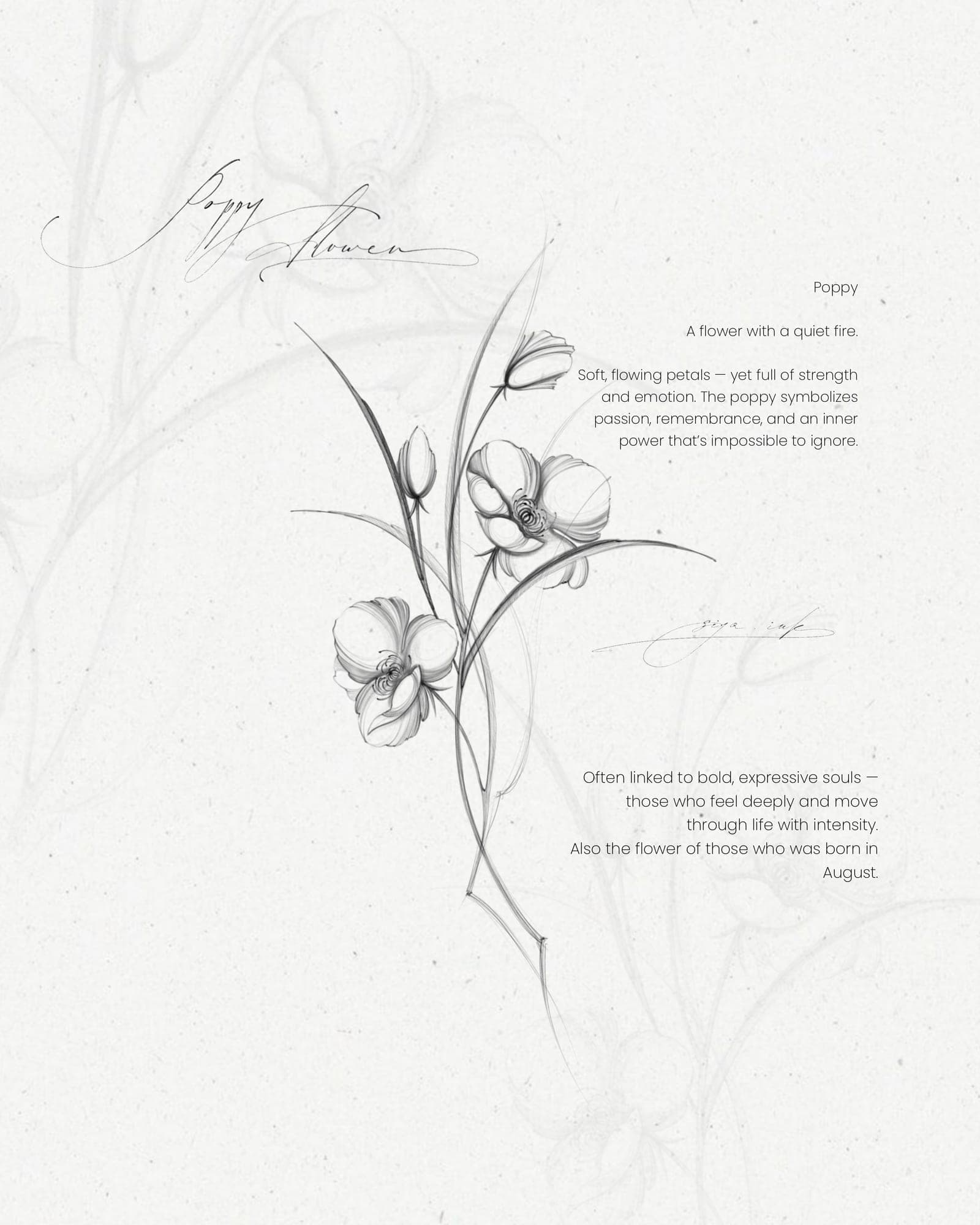 Available tattoo design – Lilies · №02 – SIJA.INK Zürich