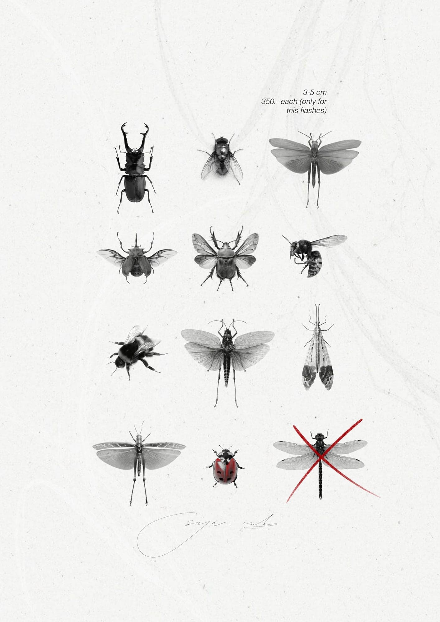 Available tattoo design – Insect Flash · №06 – SIJA.INK Zürich