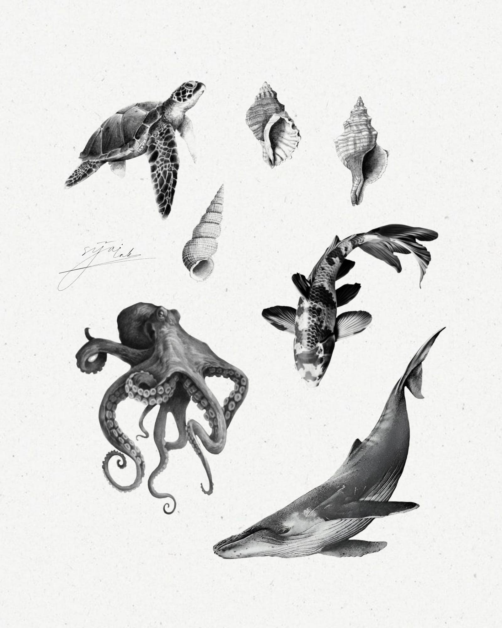 Available tattoo design – Sea Creatures Flash · №16 – SIJA.INK Zürich