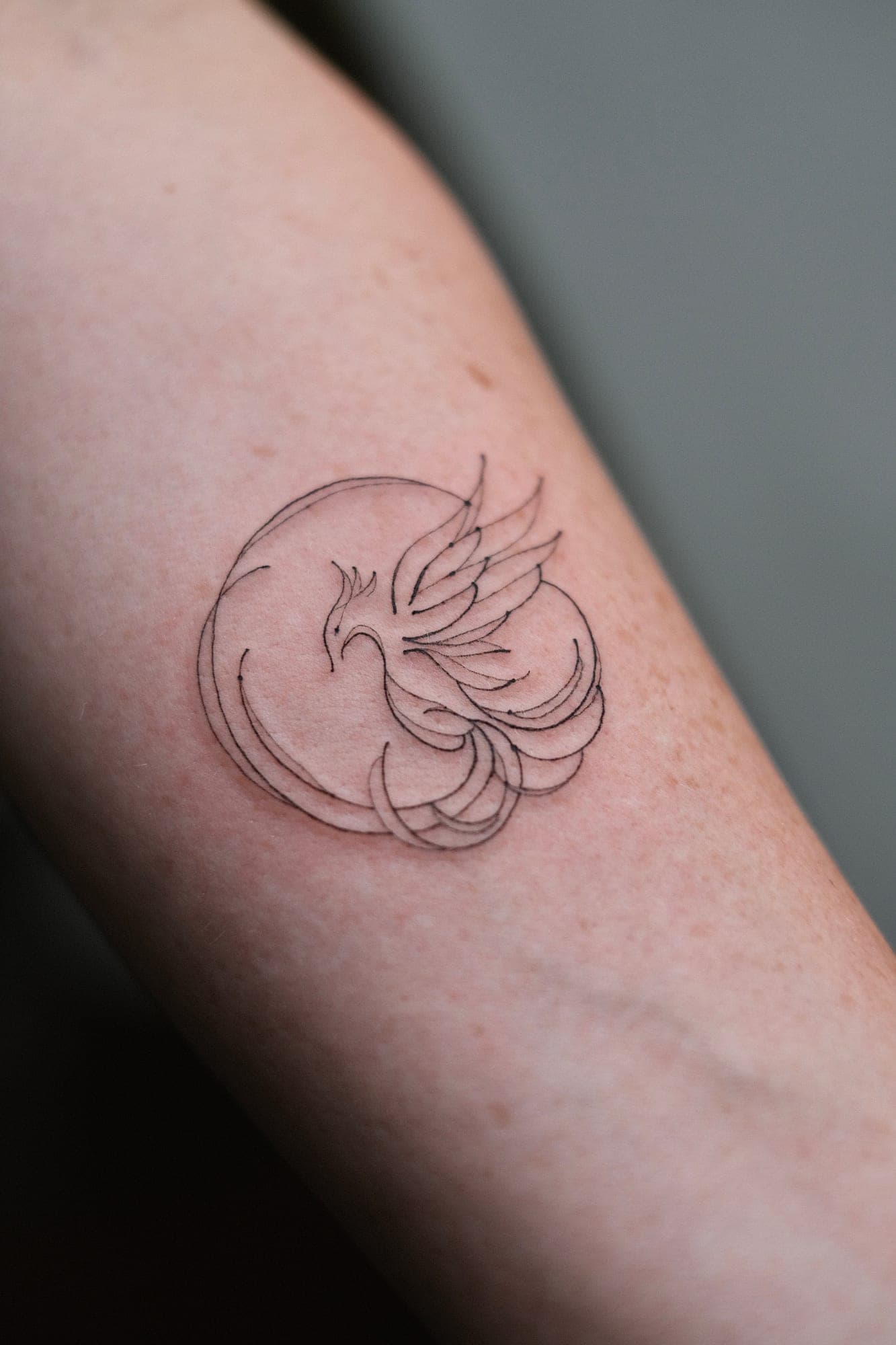 Fineline Tattoo – Phönix – SIJA.INK Zürich