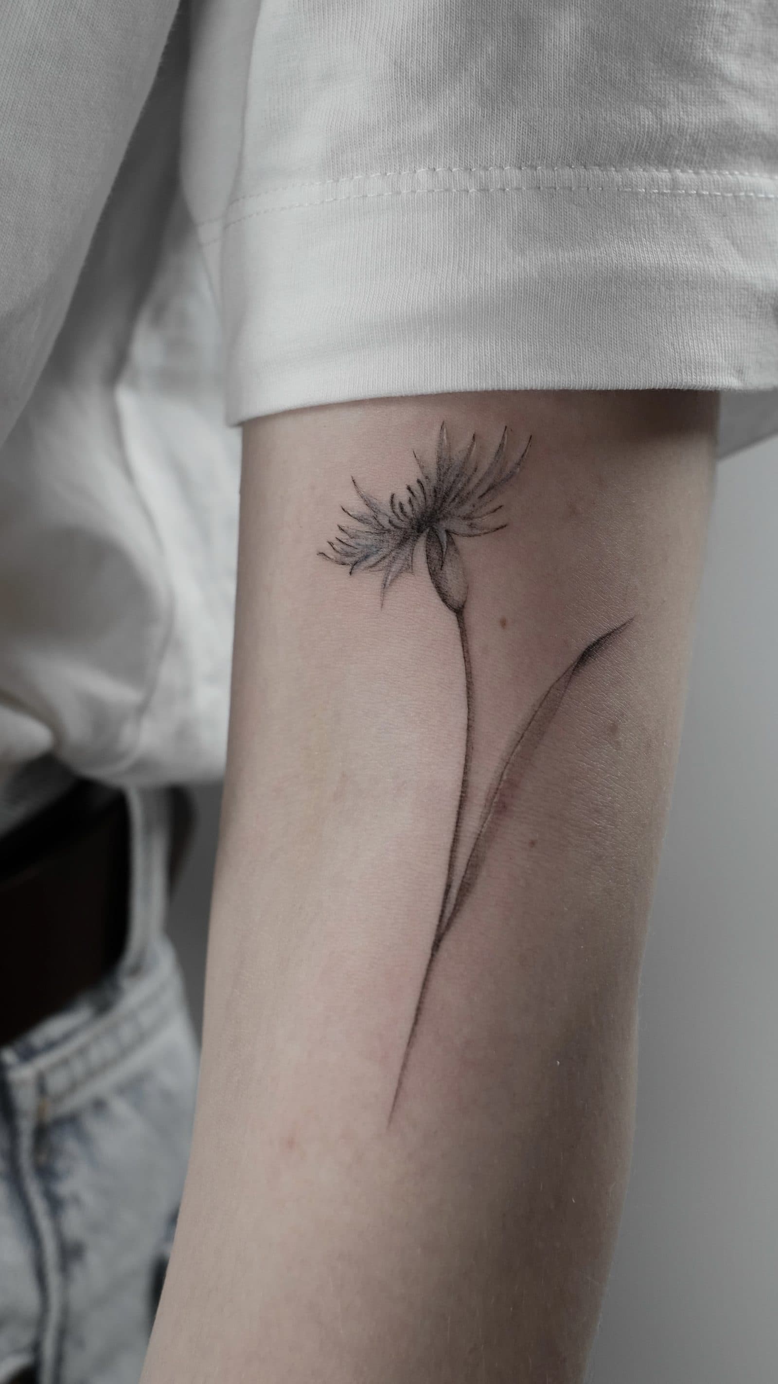 Botanisches Tattoo – Kornblume – SIJA.INK Zürich