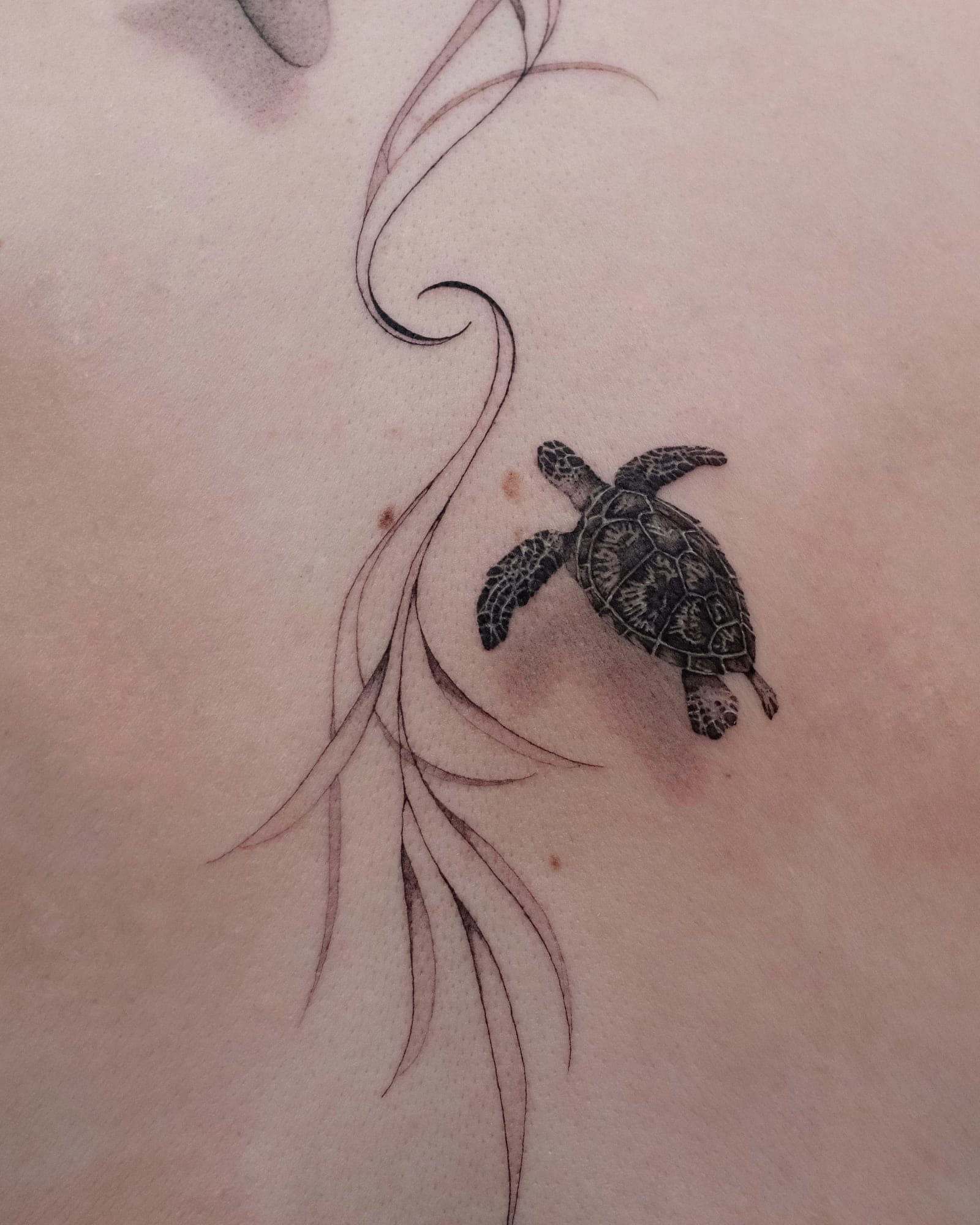 Microrealism Tattoo – Meeresschildkröte – SIJA.INK Zürich