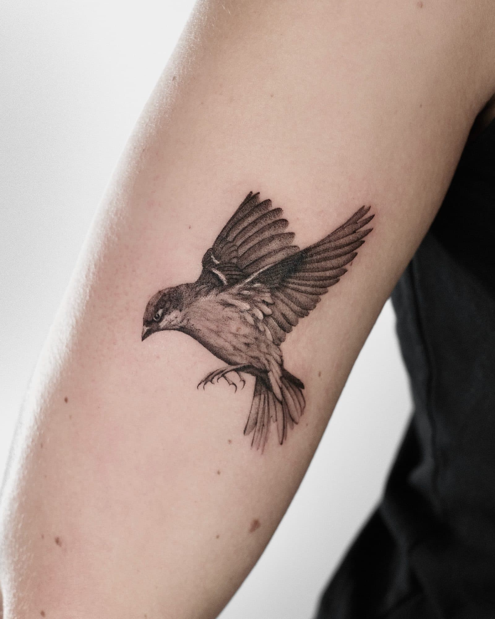 Microrealism Tattoo – Spatz – SIJA.INK Zürich