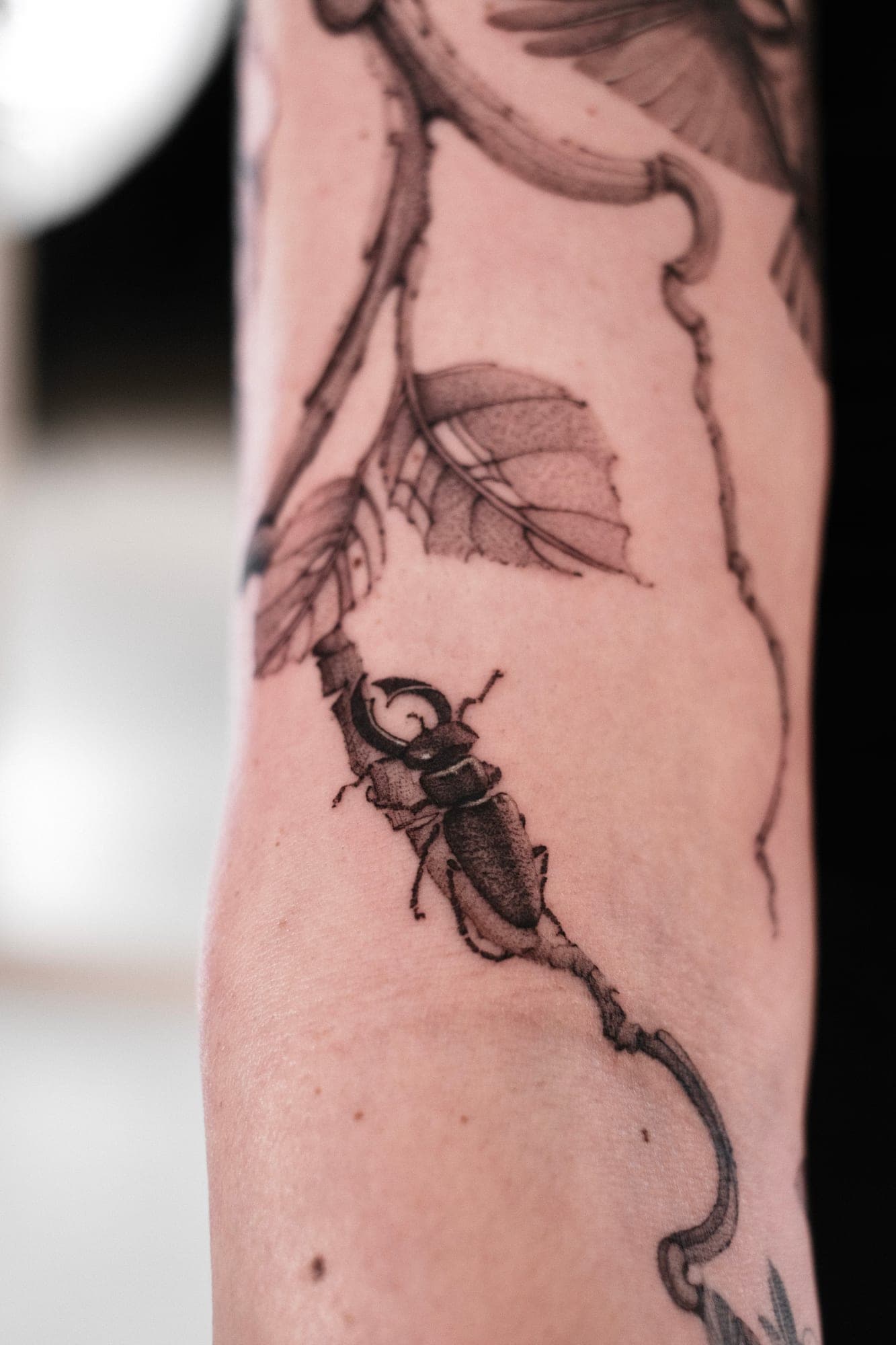 Microrealism Tattoo – Hirschkäfer – SIJA.INK Zürich