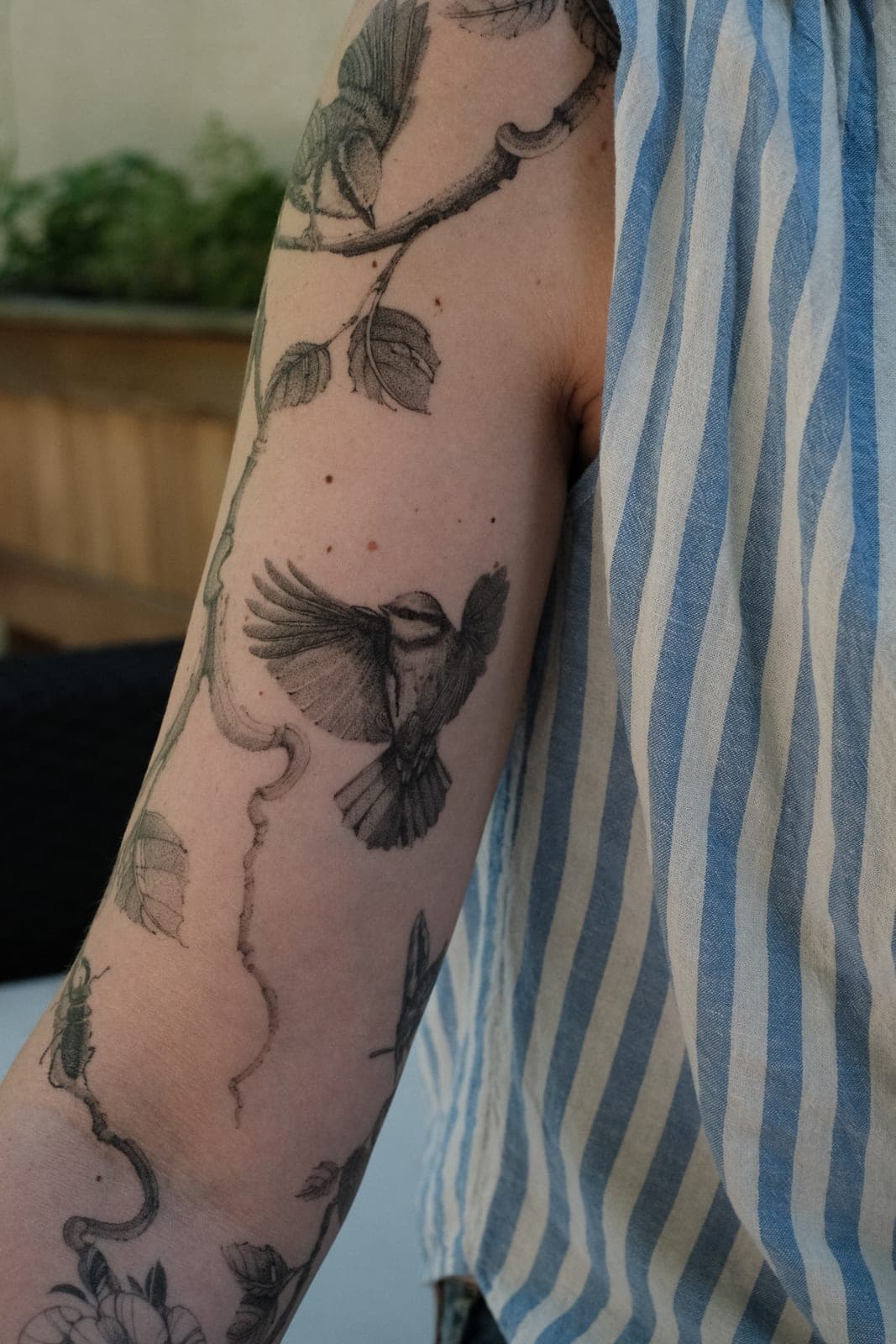 Fineline Tattoo verheilt – Vogel auf Ast – SIJA.INK Zürich