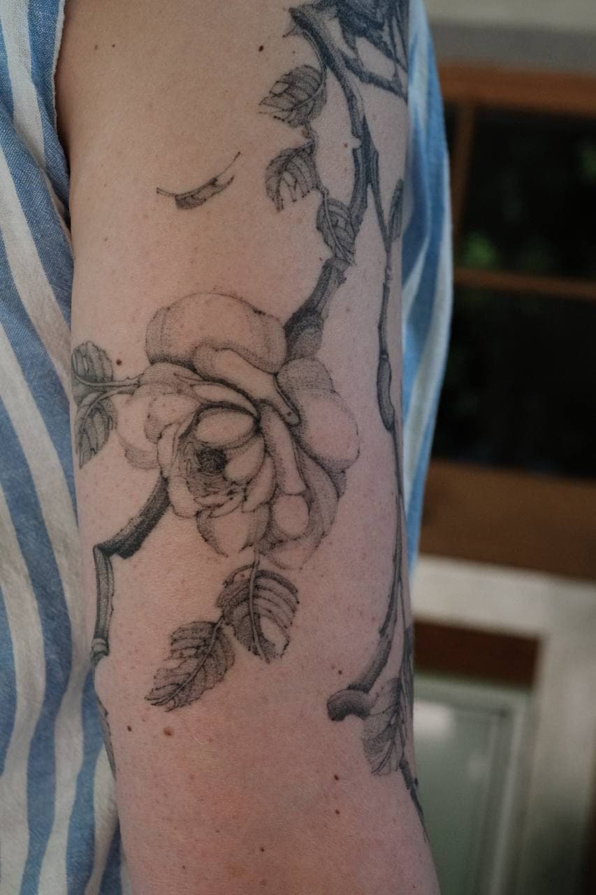 Fineline tattoo healed – Rose on Branch – SIJA.INK Zürich