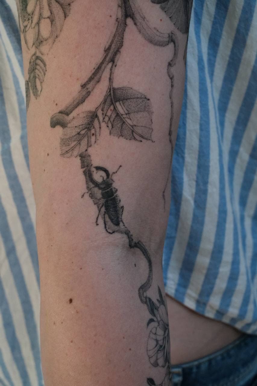 Fineline Tattoo verheilt – Hirschkäfer – SIJA.INK Zürich