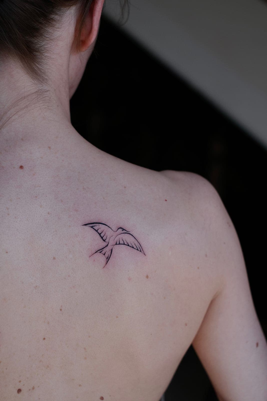 Fineline Tattoo frisch gestochen – Schwalbe – SIJA.INK Zürich