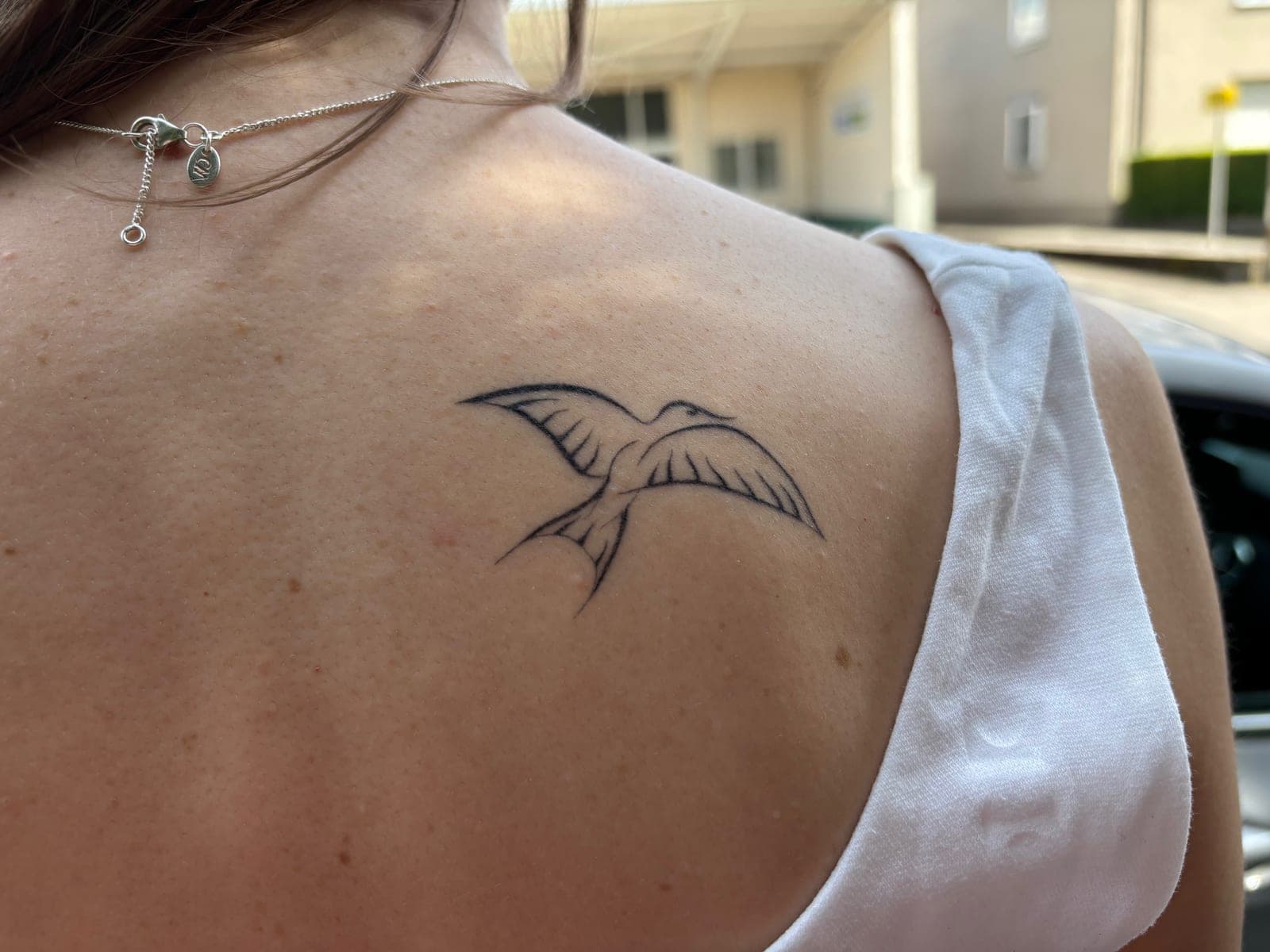 Fineline Tattoo verheilt – Schwalbe – SIJA.INK Zürich