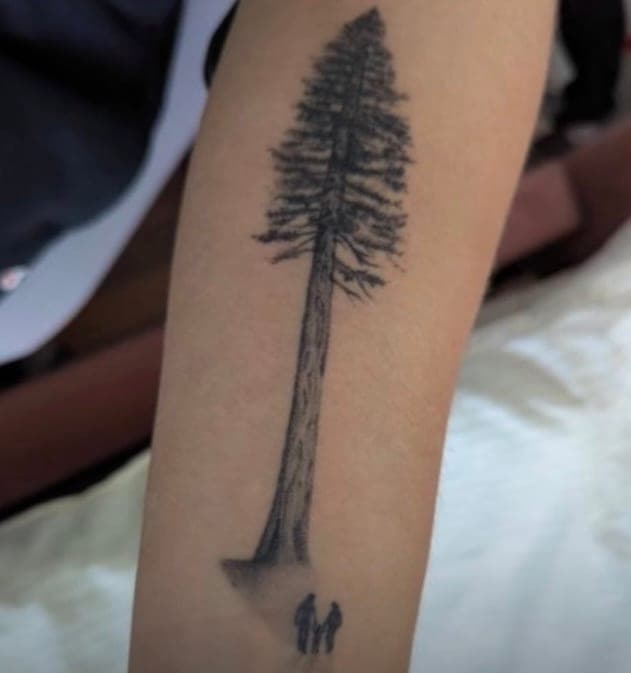 Fineline Tattoo verheilt – Tannenbaum – SIJA.INK Zürich