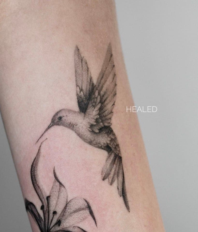 Fineline Tattoo verheilt – Kolibri – SIJA.INK Zürich