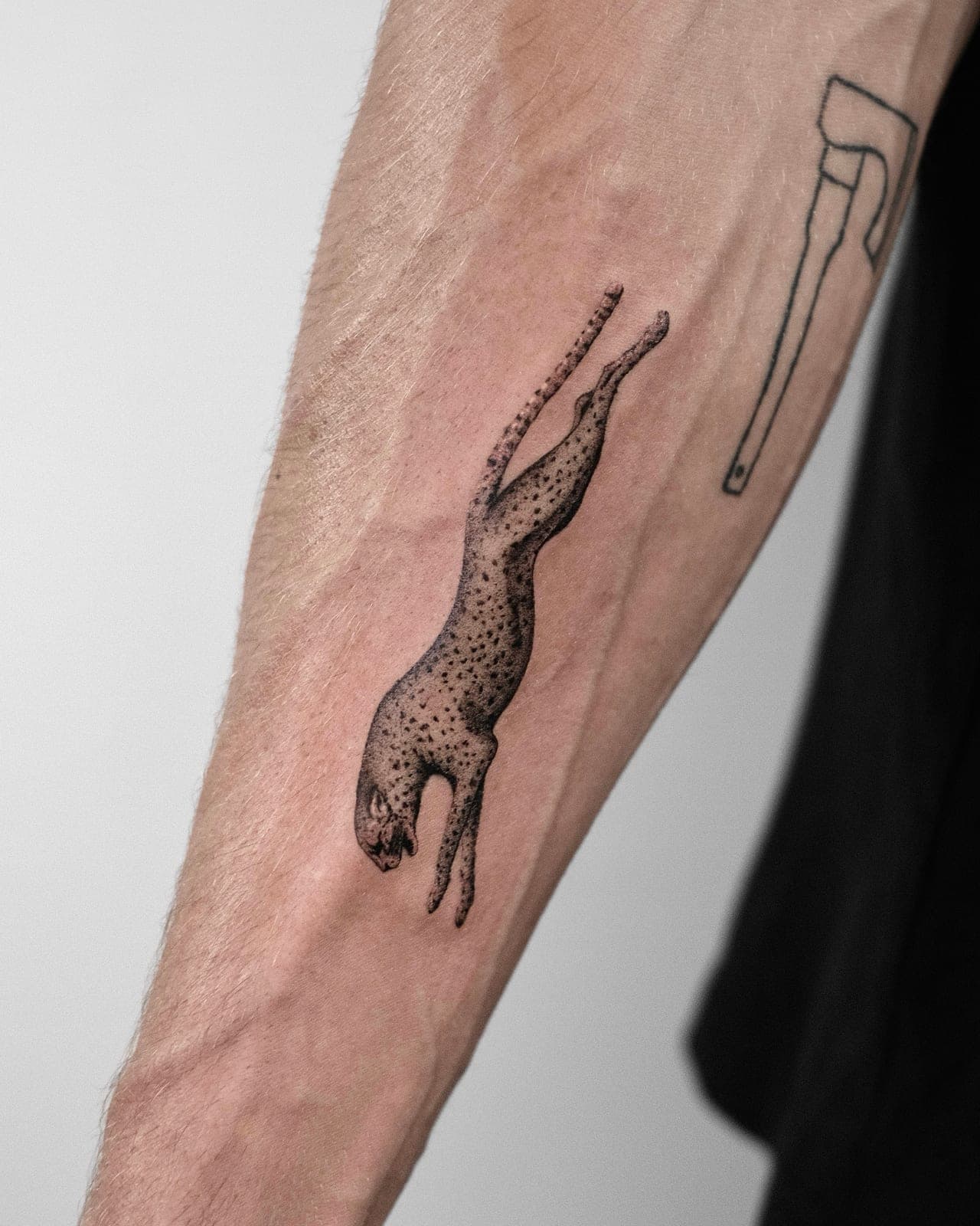 Fineline Tattoo frisch gestochen – Leopard – SIJA.INK Zürich