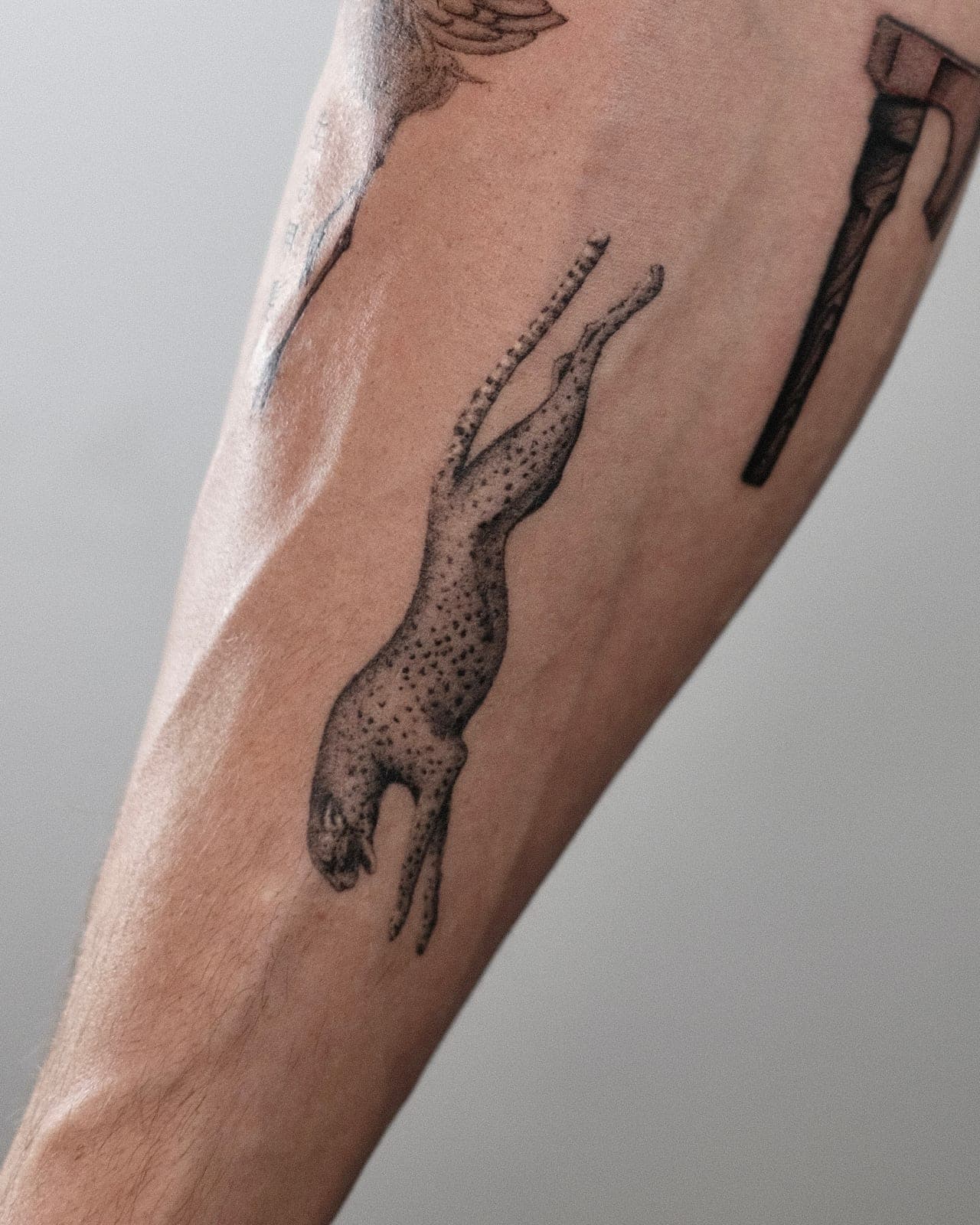 Fineline Tattoo verheilt – Leopard – SIJA.INK Zürich